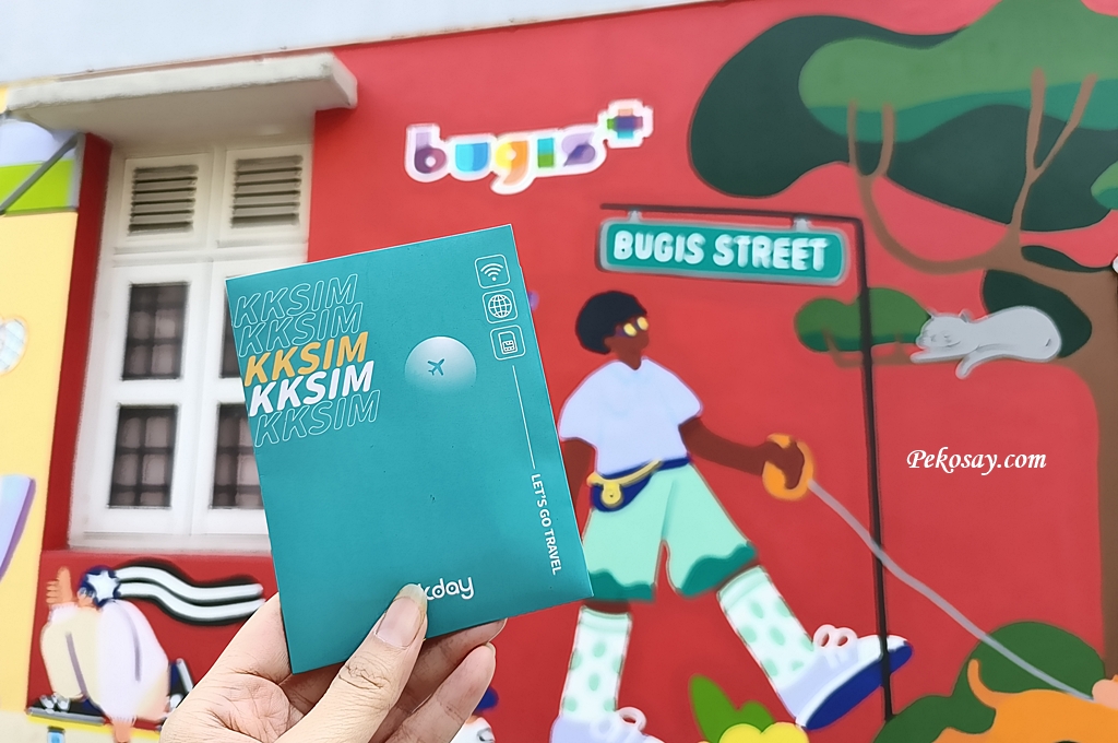 馬來西亞網卡,新加坡網卡,新加坡馬來西亞共用網卡,eSIM卡 @PEKO の Simple Life